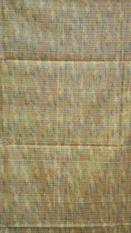 DSC05519