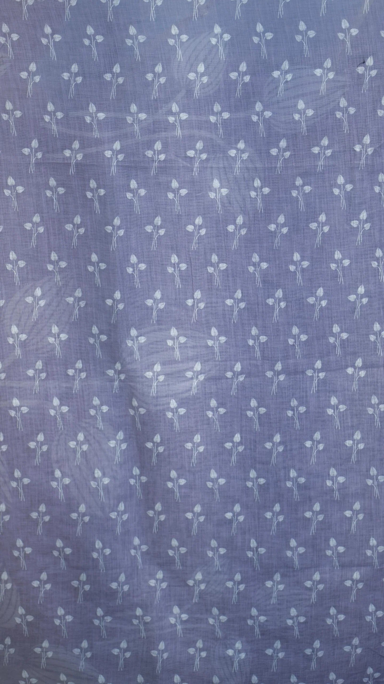 DSC05734