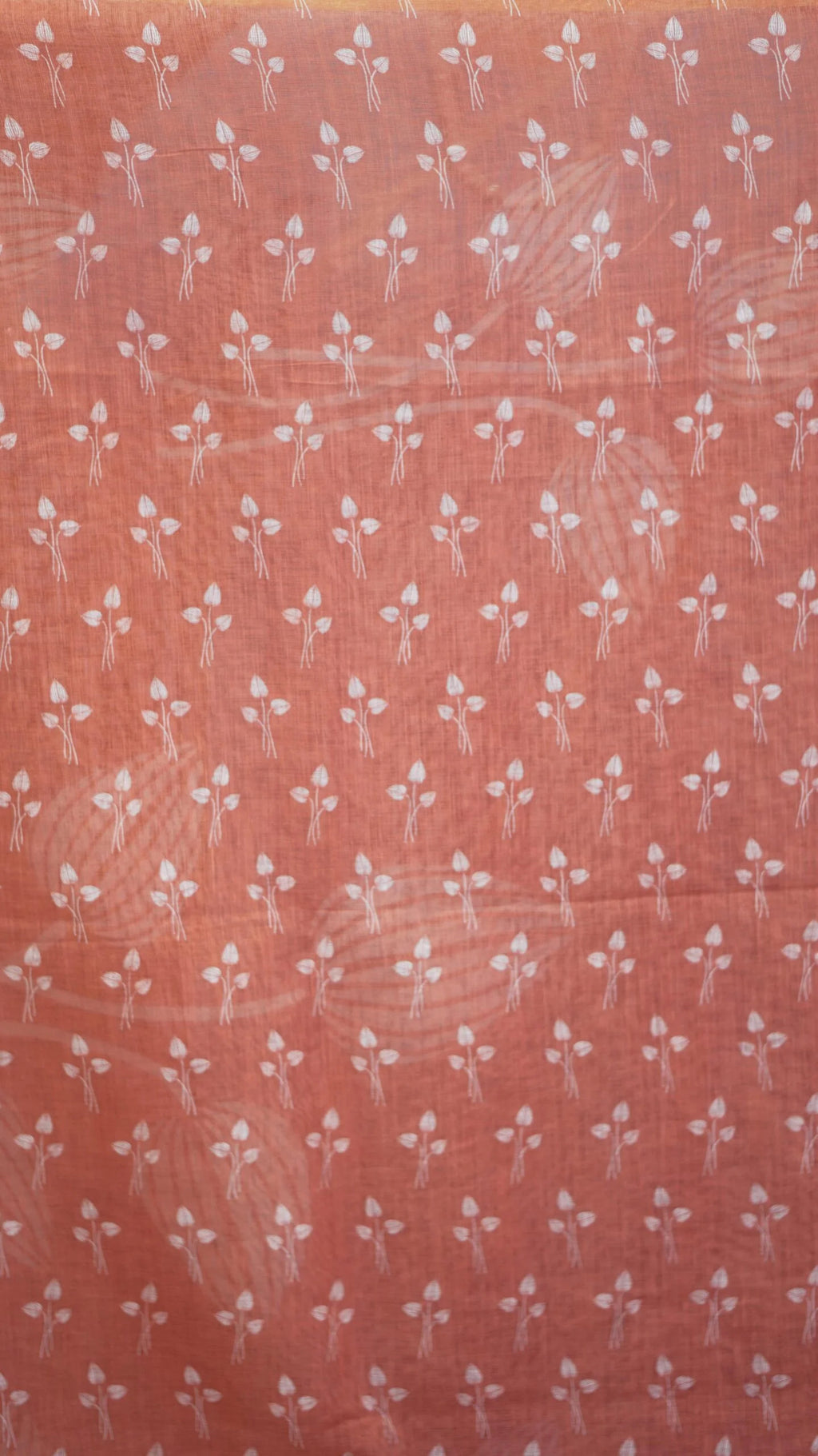 DSC05764