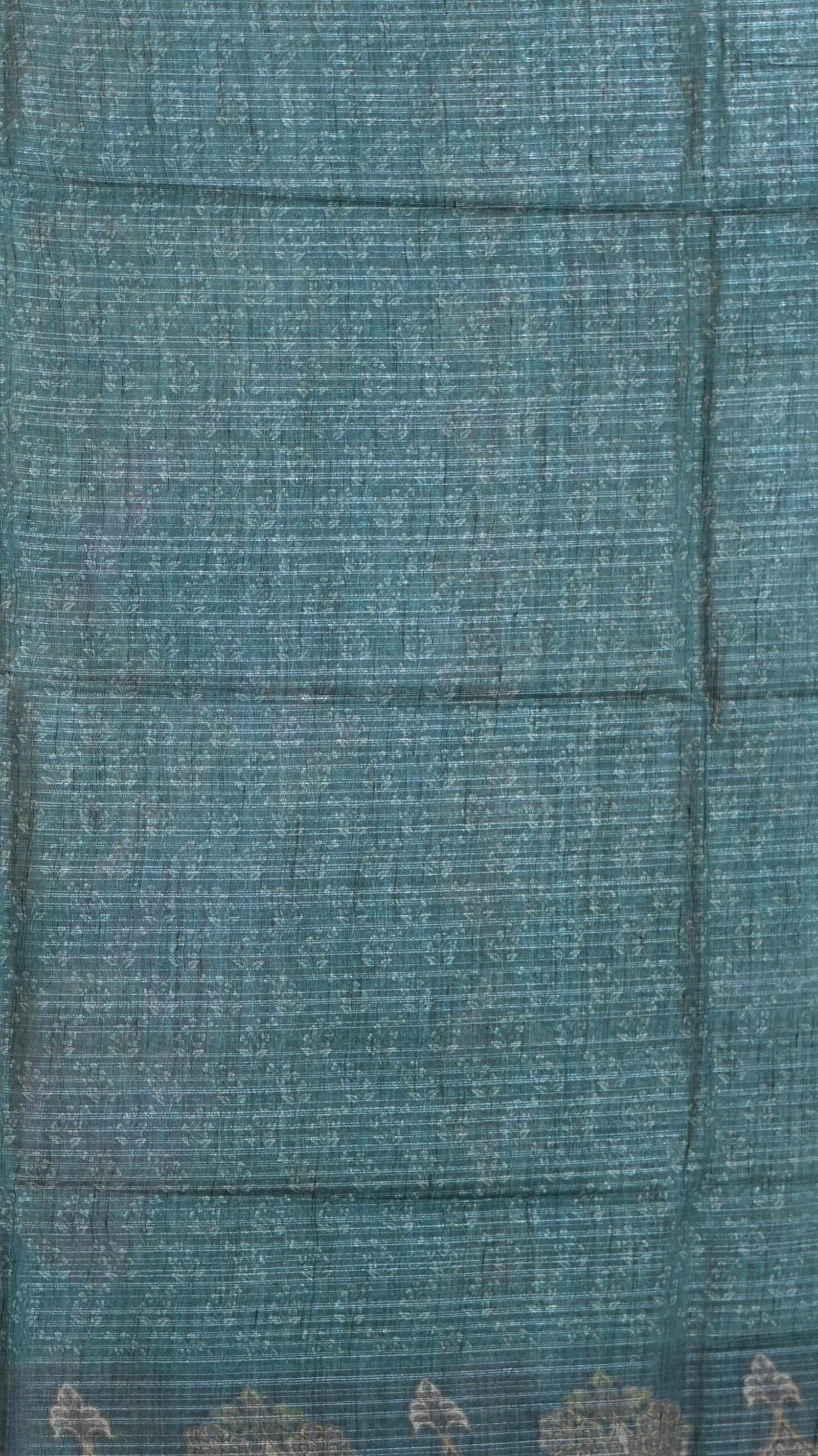 DSC00531
