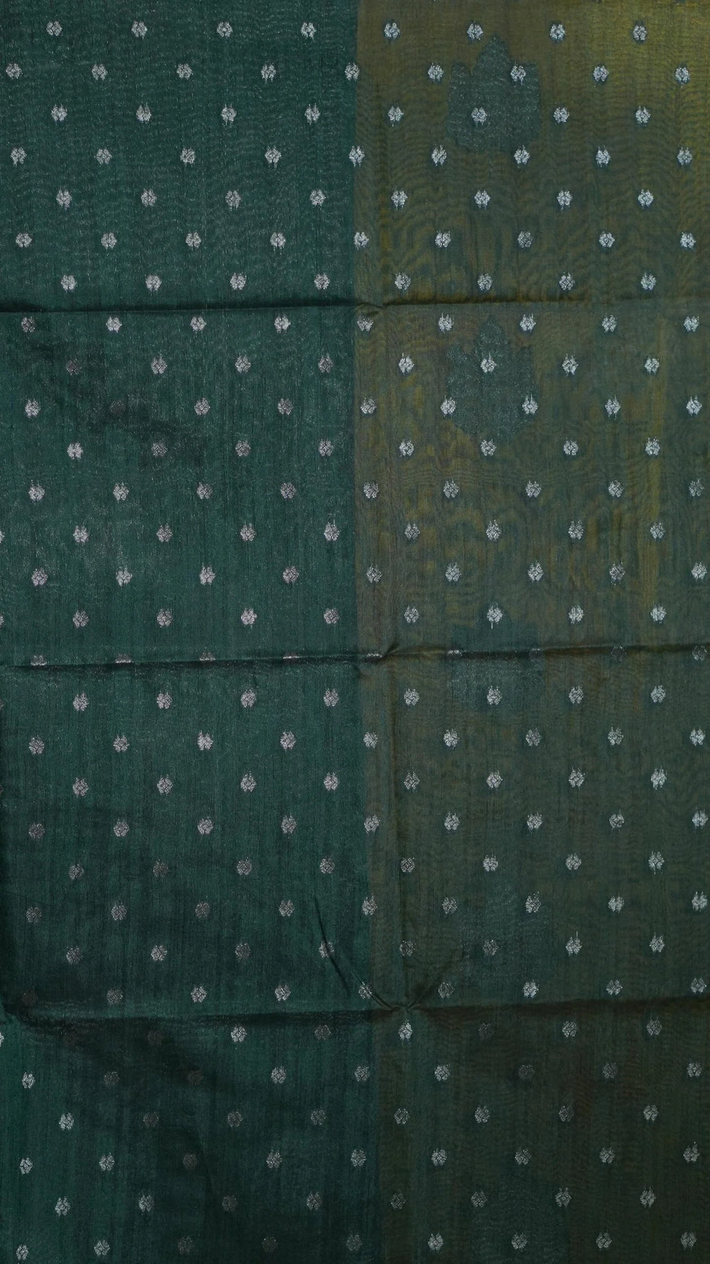 DSC00626