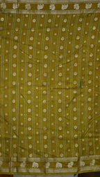 DSC00982