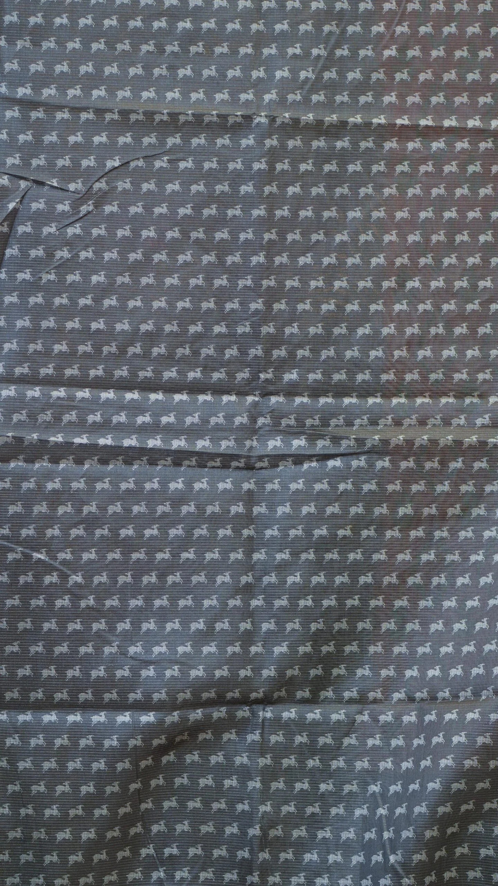 DSC02520