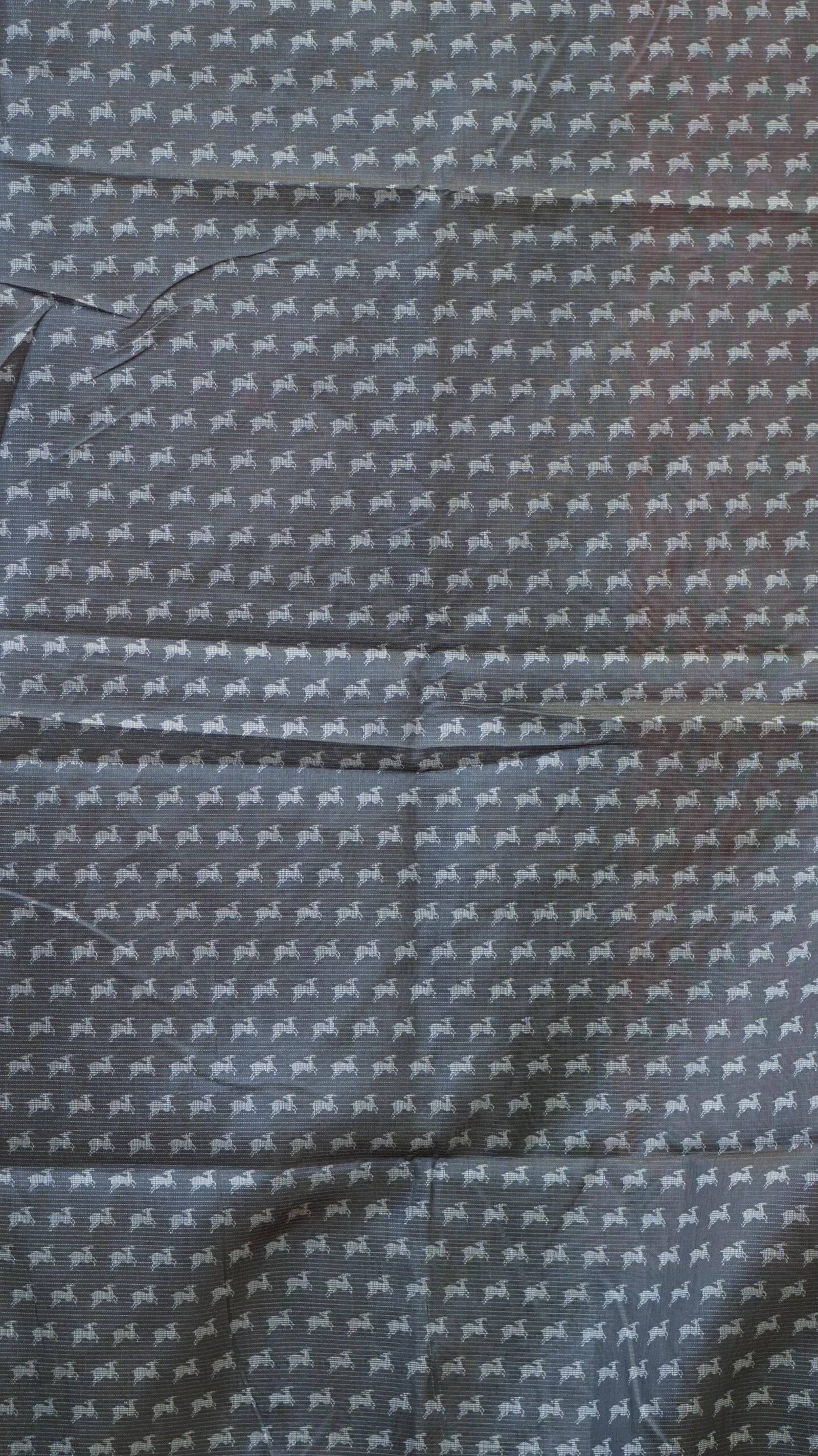 DSC02520