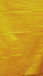 DSC02569