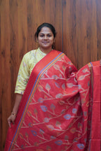 DSC03524