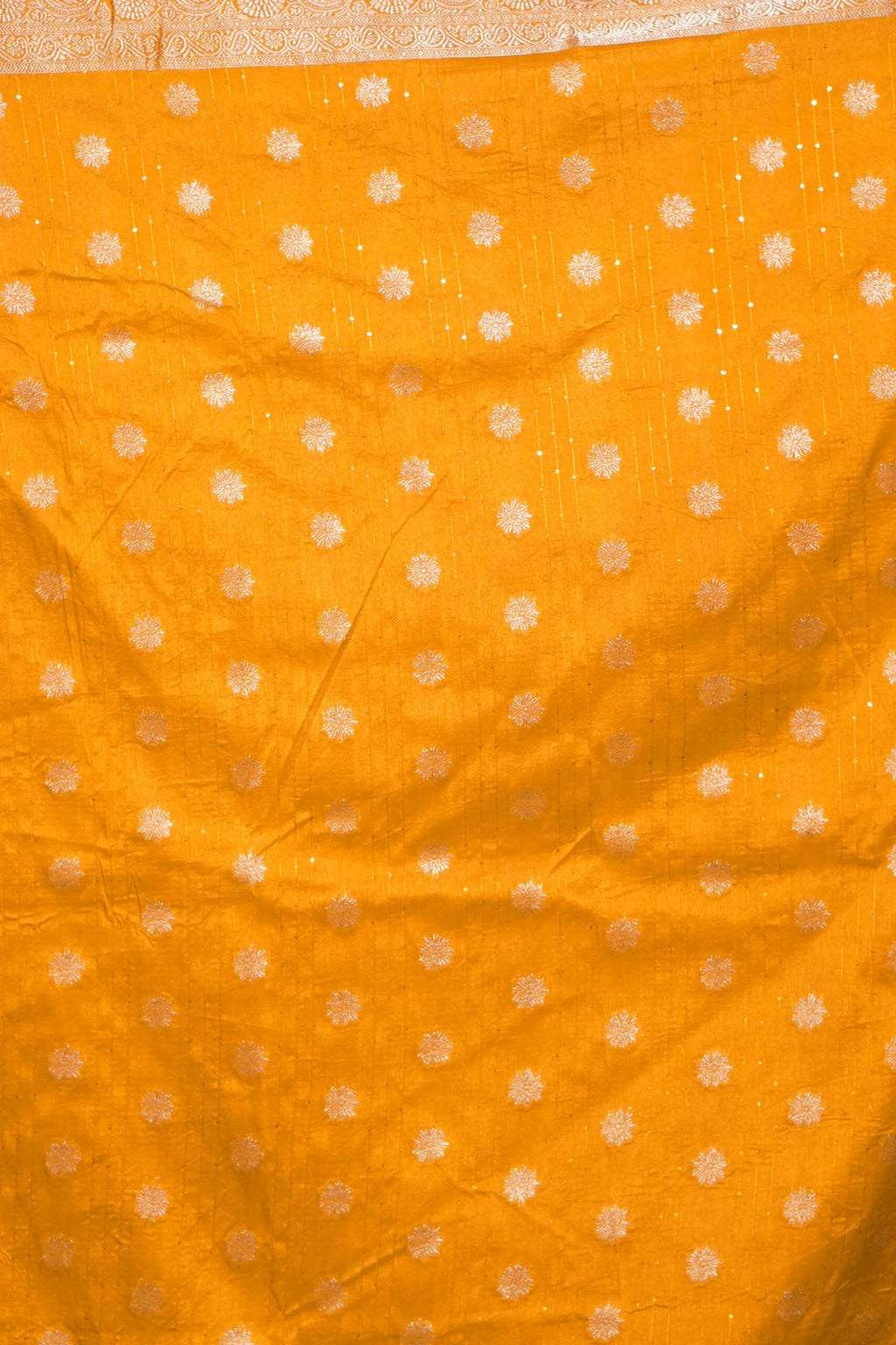 DSC03998