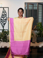 Semi Tussar Sarees Timeless Weave / SKU198 – 3