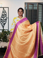 Semi Tussar Sarees Timeless Weave / SKU198 – 3