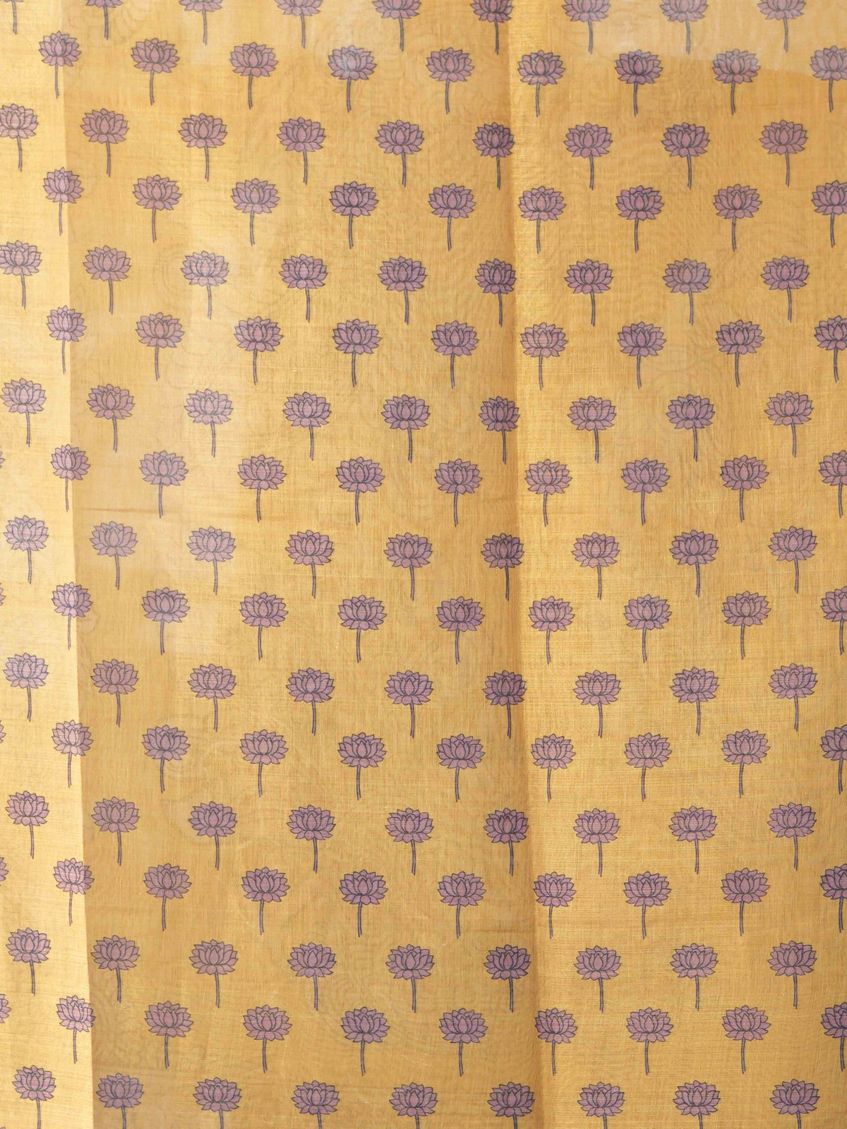 Linen Tissue Sarees Classic Radiance / SKU278 – 2