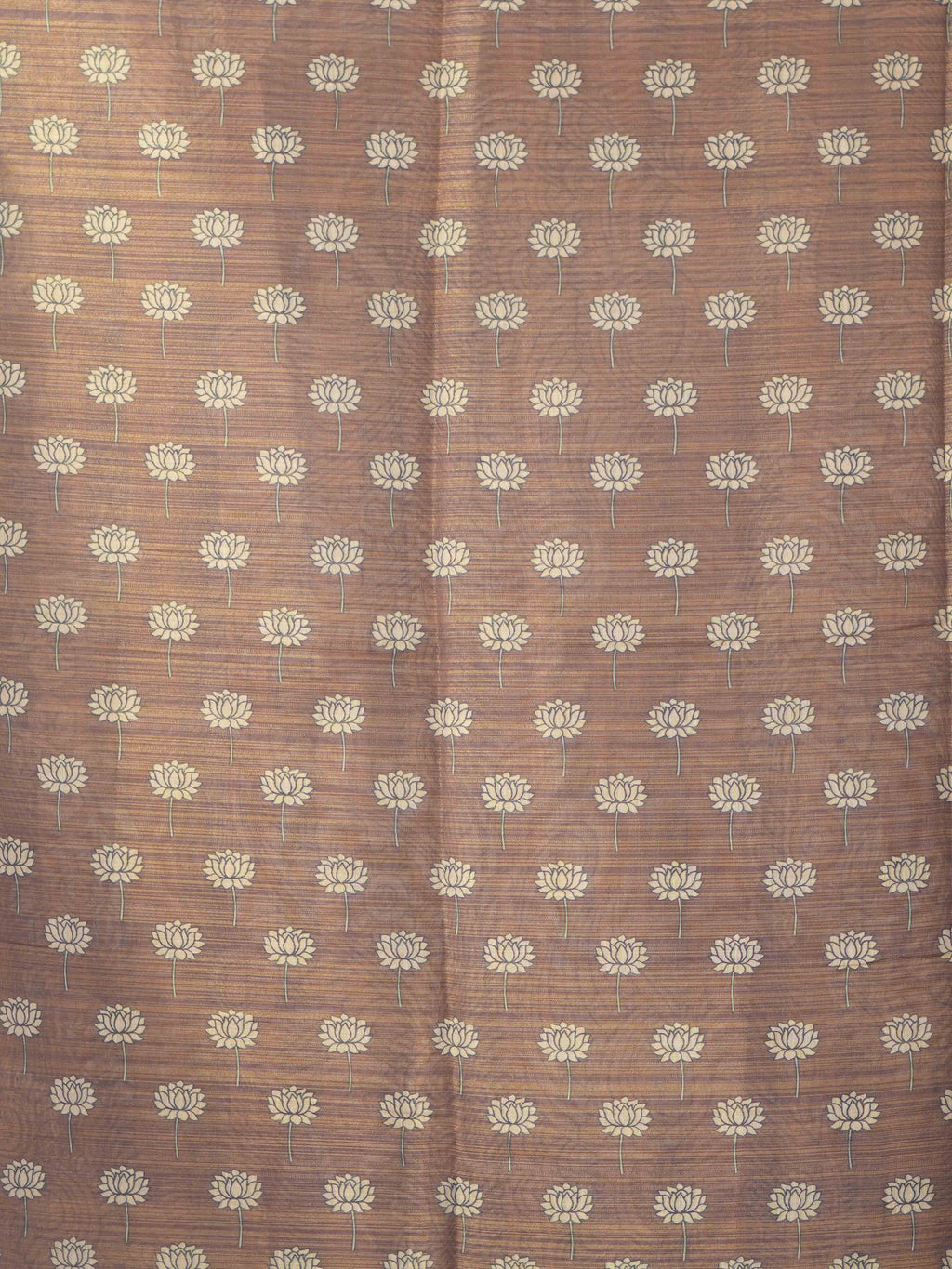 Linen Tissue Sarees Natural Grace / SKU278 – 6