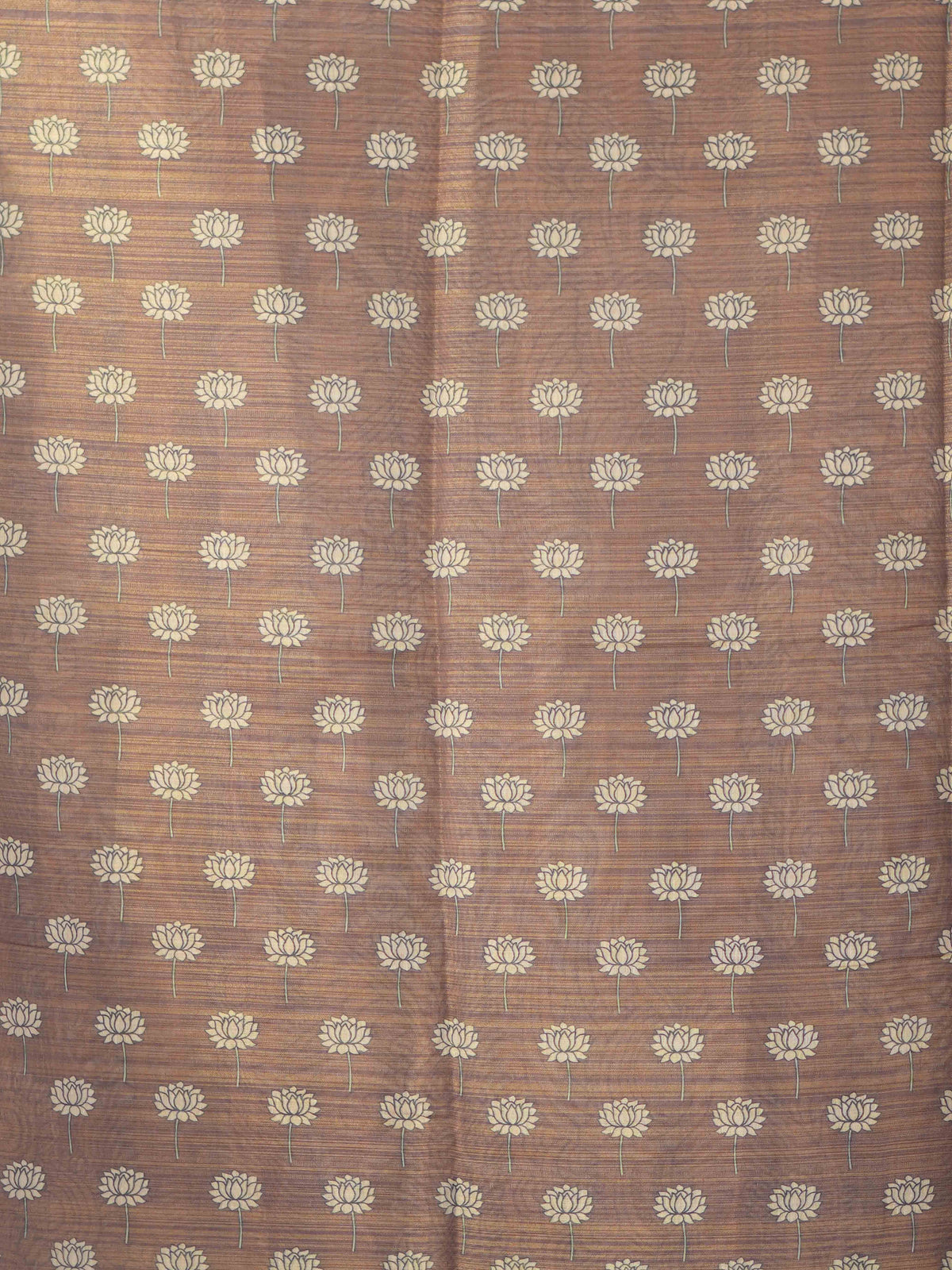 Linen Tissue Sarees Natural Grace / SKU278 – 6