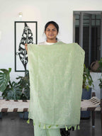 Crushed Sarees Festive Grace / SKU276 – 4