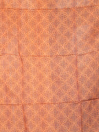 Dola Tussar Sarees Timeless Charm / SKU286 – 4