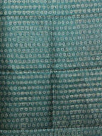 Varnika Chex Sarees Timeless Weave / SKU295 – 3