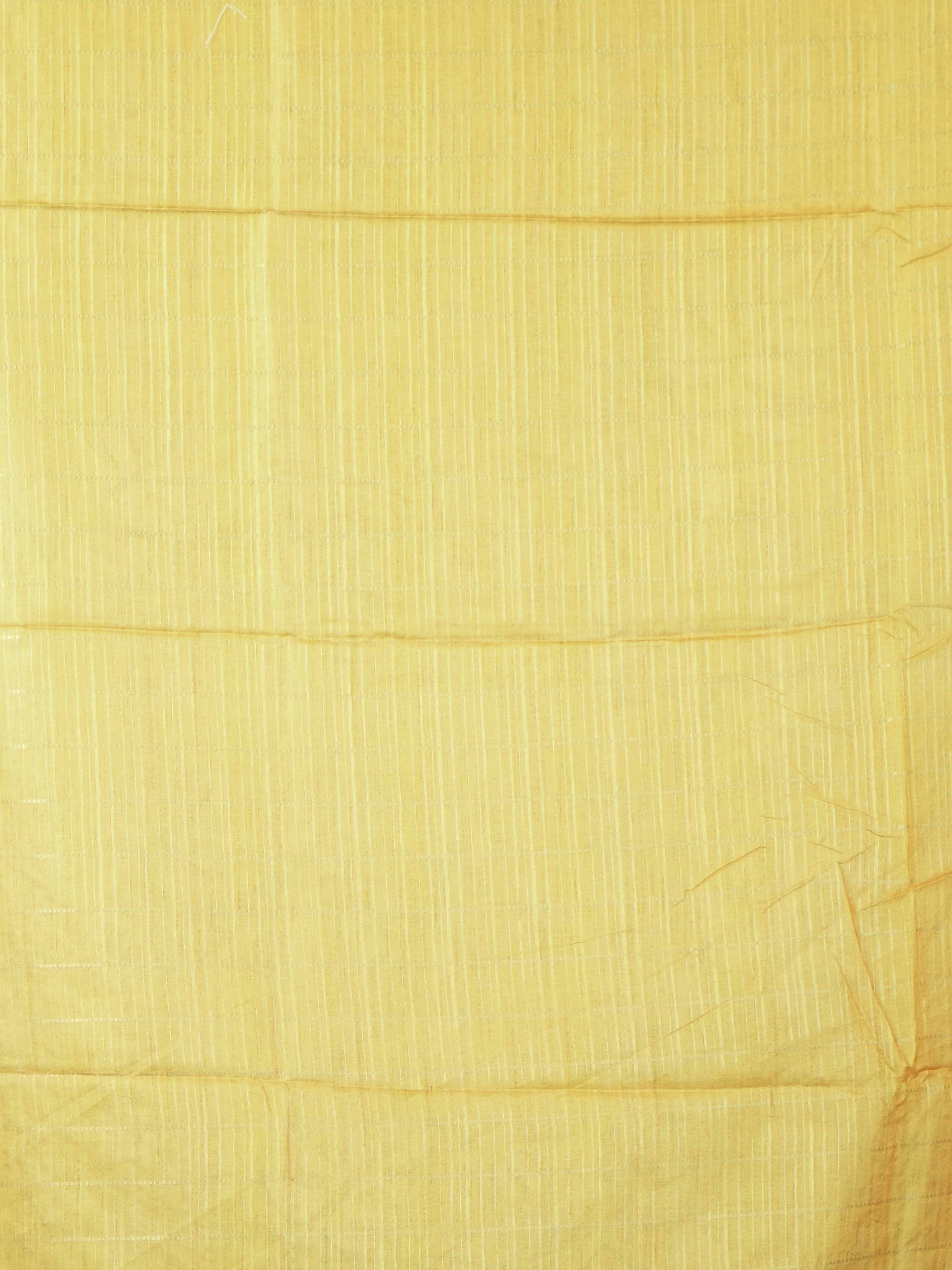 Art Tussar Sarees Timeless Style / SKU196 – 5