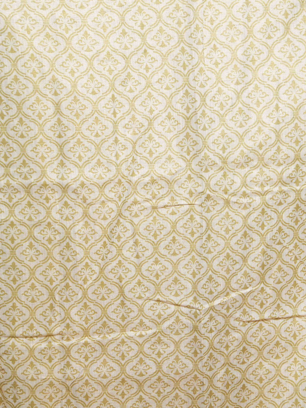 Linen Tissue Sarees Signature Charm / SKU294 – 6