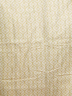 Linen Tissue Sarees Signature Charm / SKU294 – 6