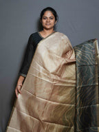 Tussar by Kota Sarees Graceful Drape / SKU307 – 9