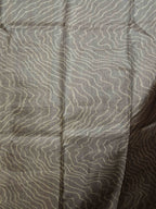 Tussar by Kota Sarees Graceful Drape / SKU307 – 9
