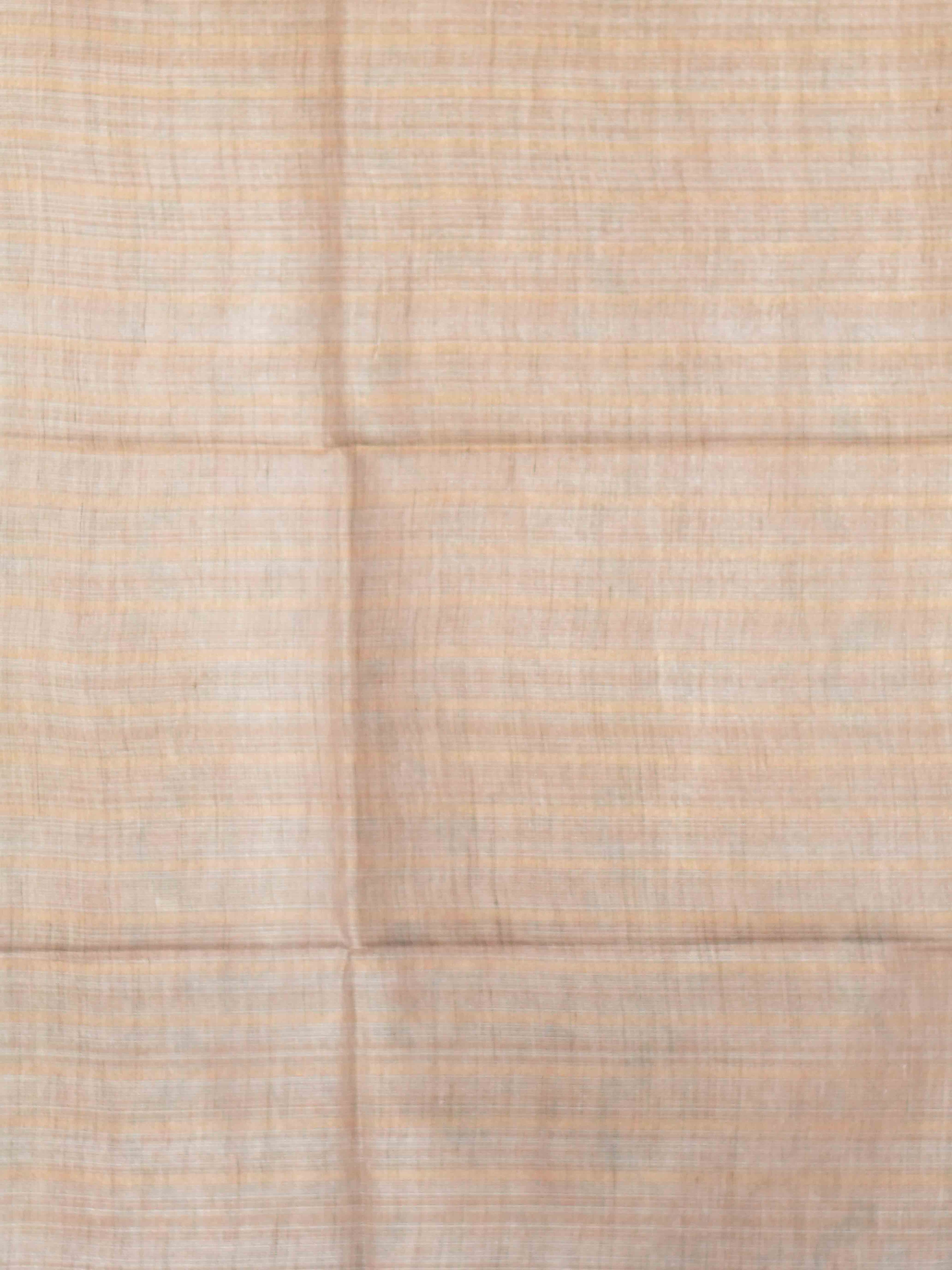 Tissue Bhaswada Sarees Royal Weave / SKU203 – 28