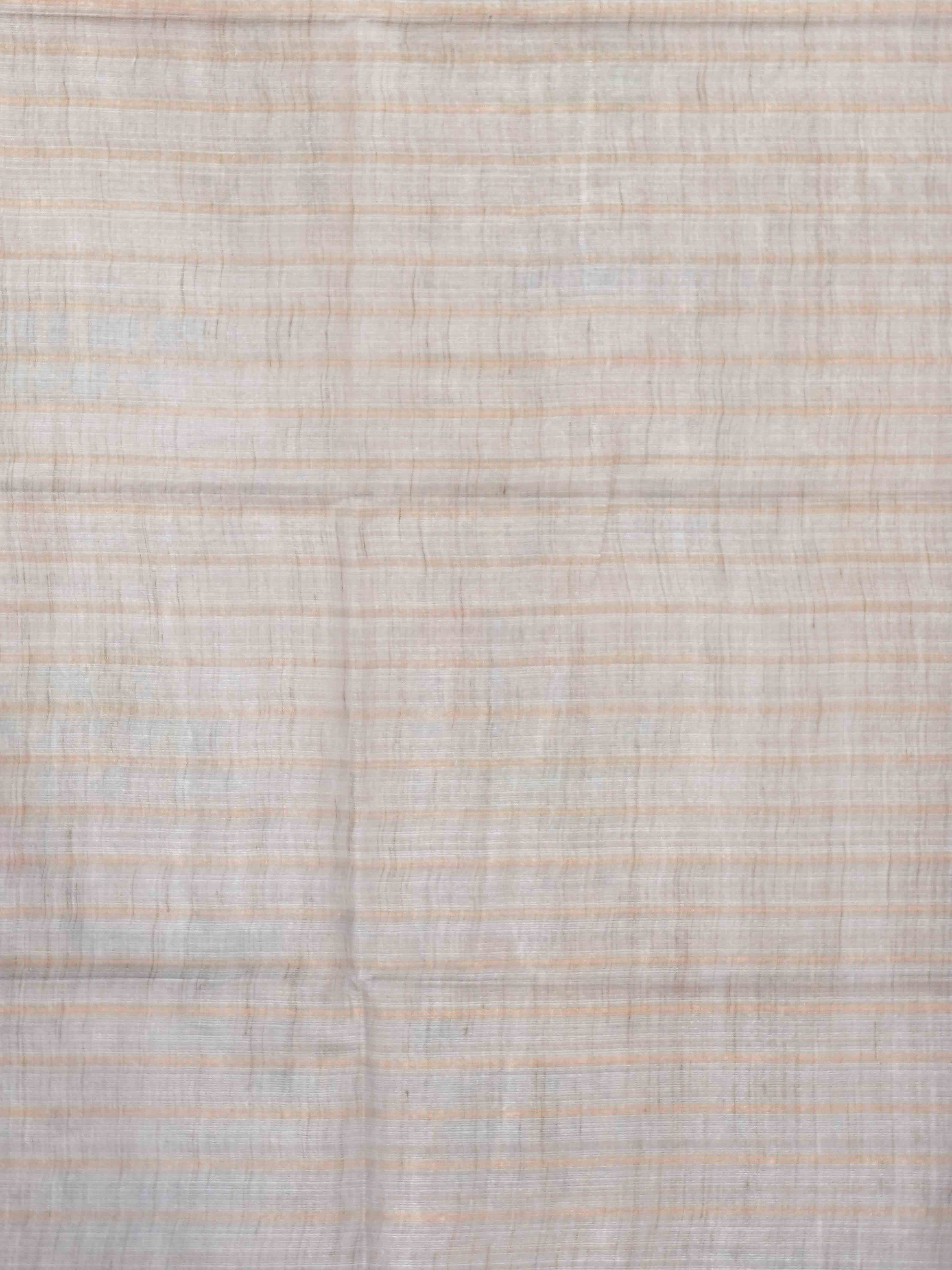 Tissue Bhaswada Sarees Classic Radiance / SKU203 – 31