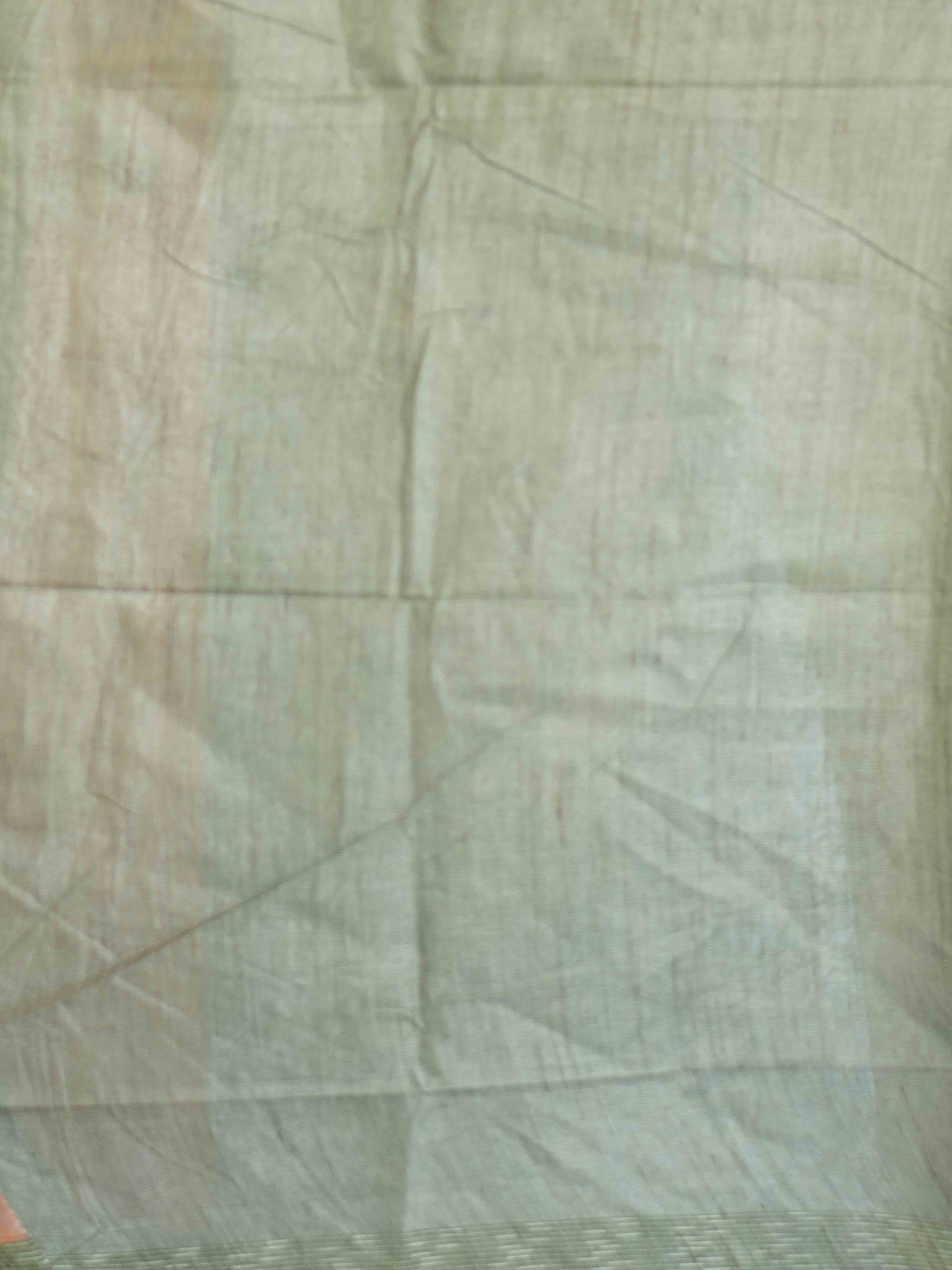 Tissue Bhaswada Sarees Majestic Elegance / SKU203 – 35