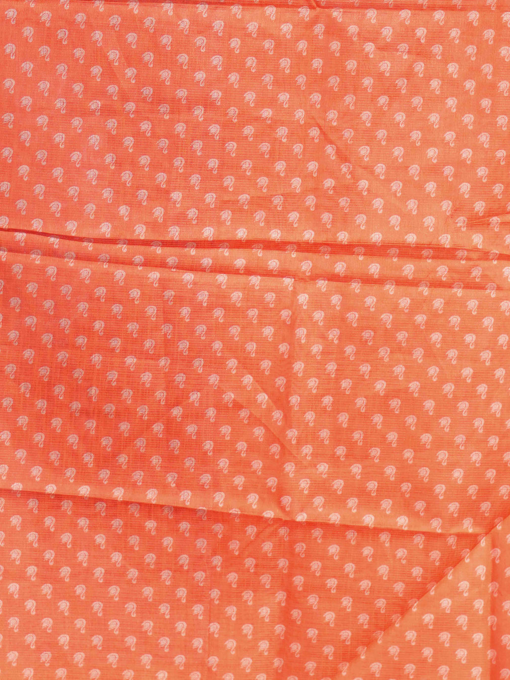 Tissue Bhukara Sarees Timeless Charm / SKU207 – 4