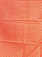 Tissue Bhukara Sarees Timeless Charm / SKU207 – 4