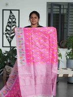 Tissue Bhukara Sarees Elegant Harmony / SKU207 – 11