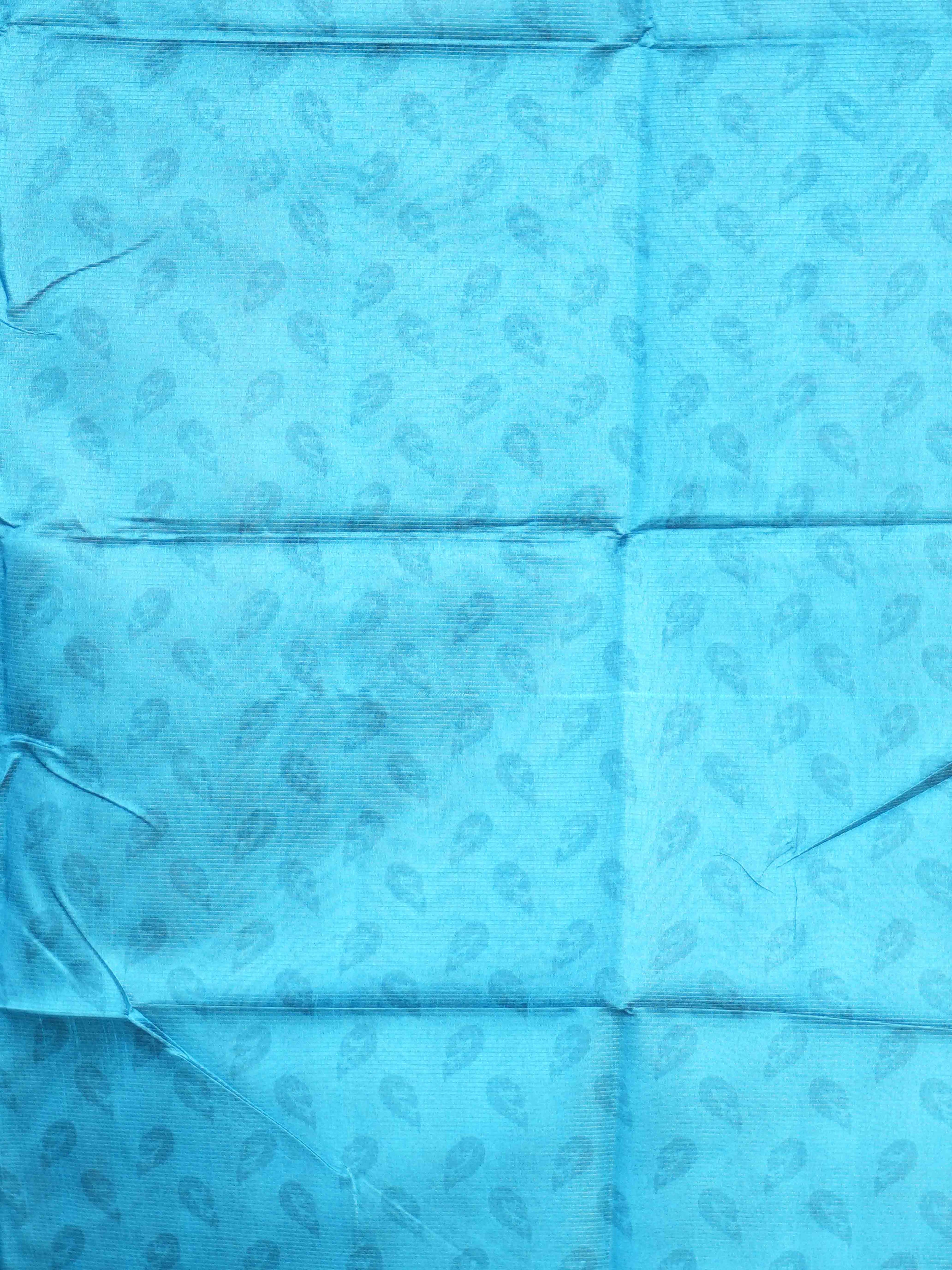 Tissue Bhukara Sarees Regal Elegance / SKU207 – 17