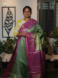 Tissue Staple Sarees Royal Elegance / SKU212 – 6