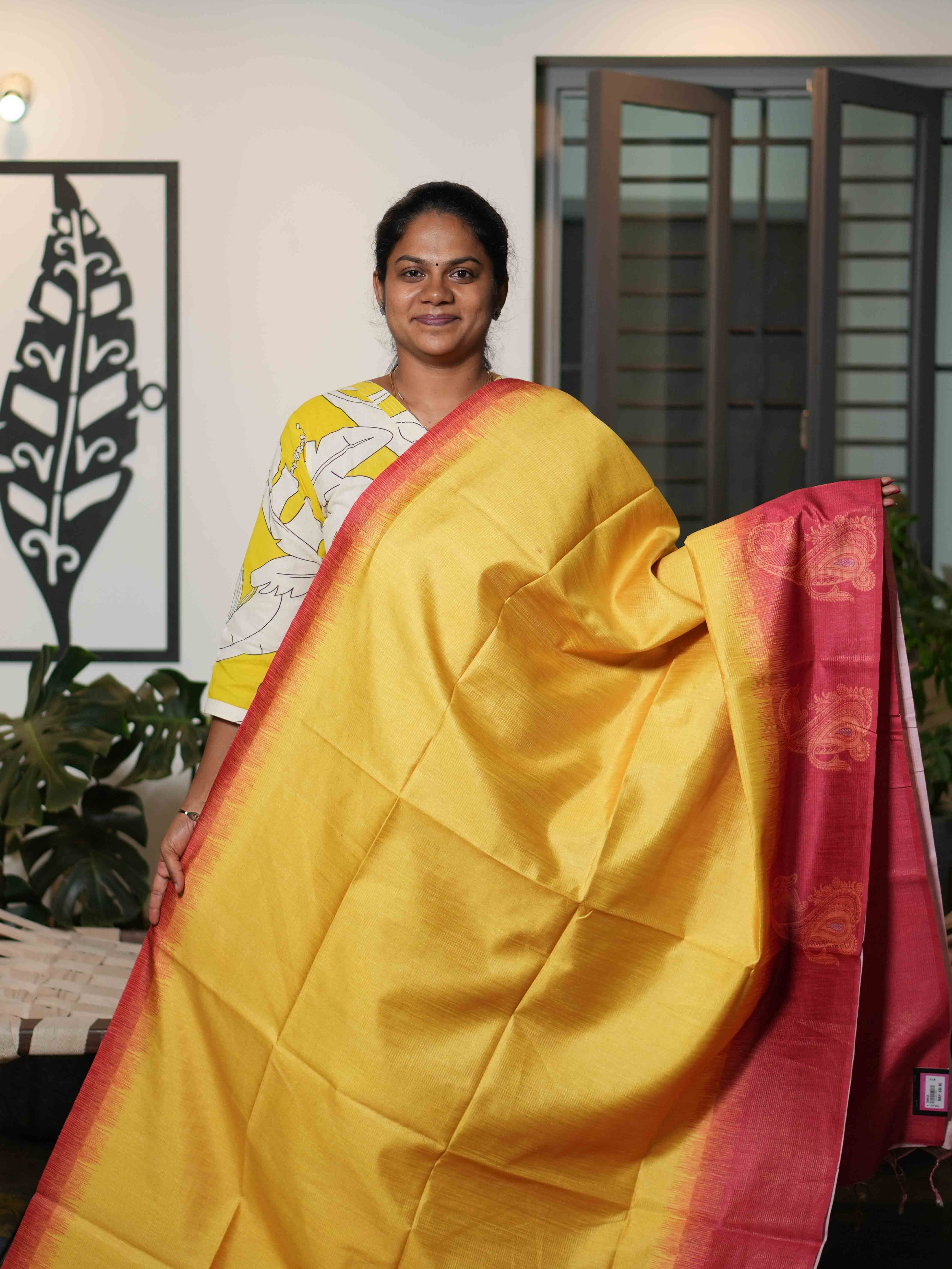 Tissue Bhukara Sarees Elegant Harmony / SKU213 – 4