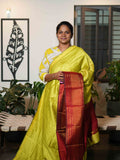 Raw Silk Sarees Regal Heritage / SKU214 – 1