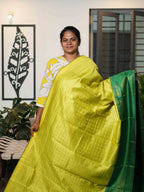 Raw Silk Sarees Timeless Splendor / SKU214 – 2