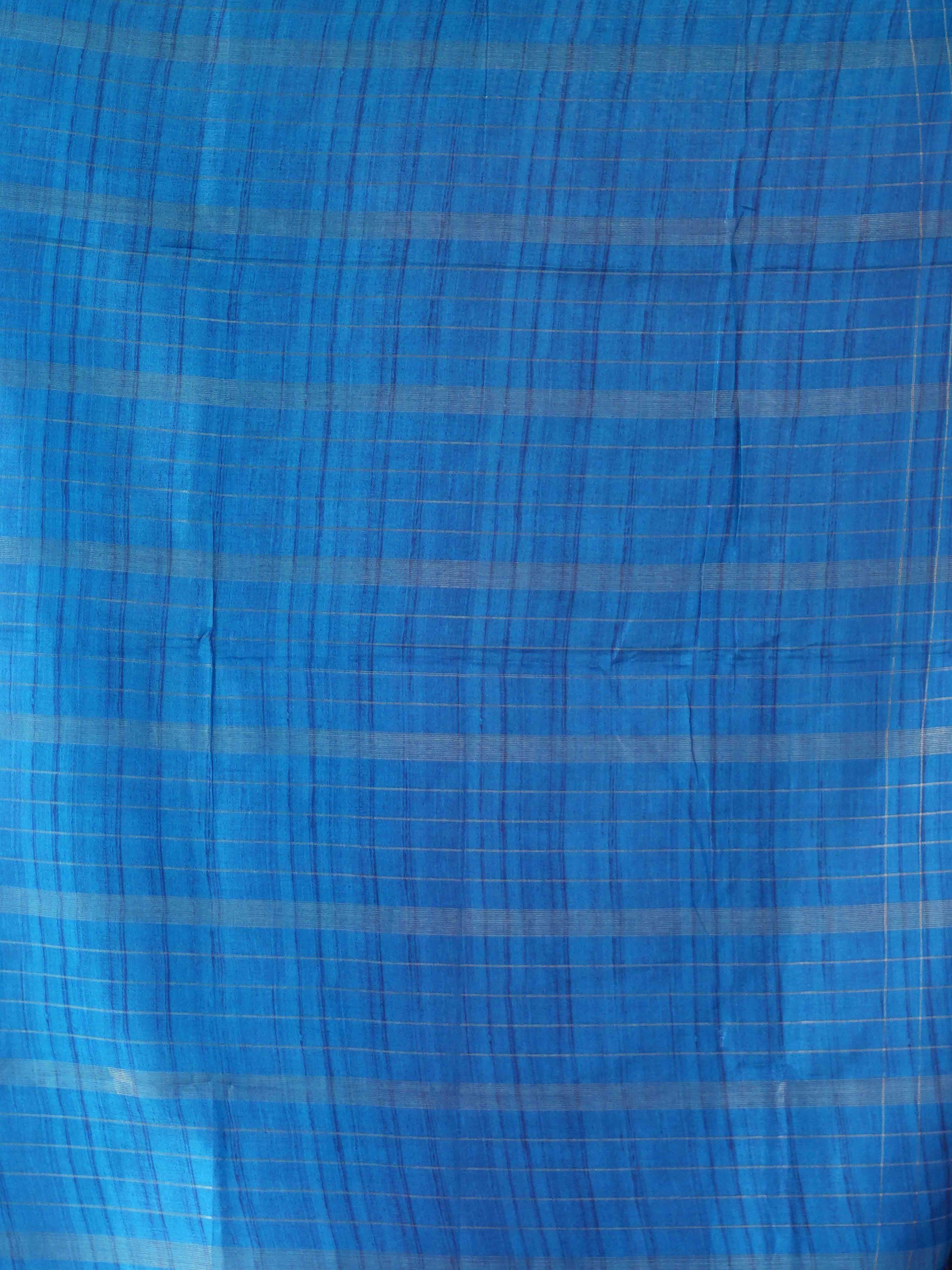 Soft Tussar Sarees Graceful Blend / SKU226 – 6