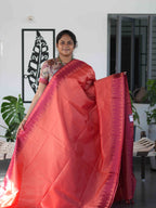 Cotton Silk Sarees Classic Charm / SKU235 – 2