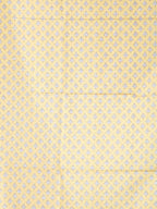 Check Semi Tussar Sarees / SKU223-3