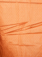 Tissue Bhukara Sarees Timeless Weave / SKU317 – 3