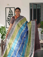 Kota Tussar Sarees Heritage Grace / SKU250 – 2