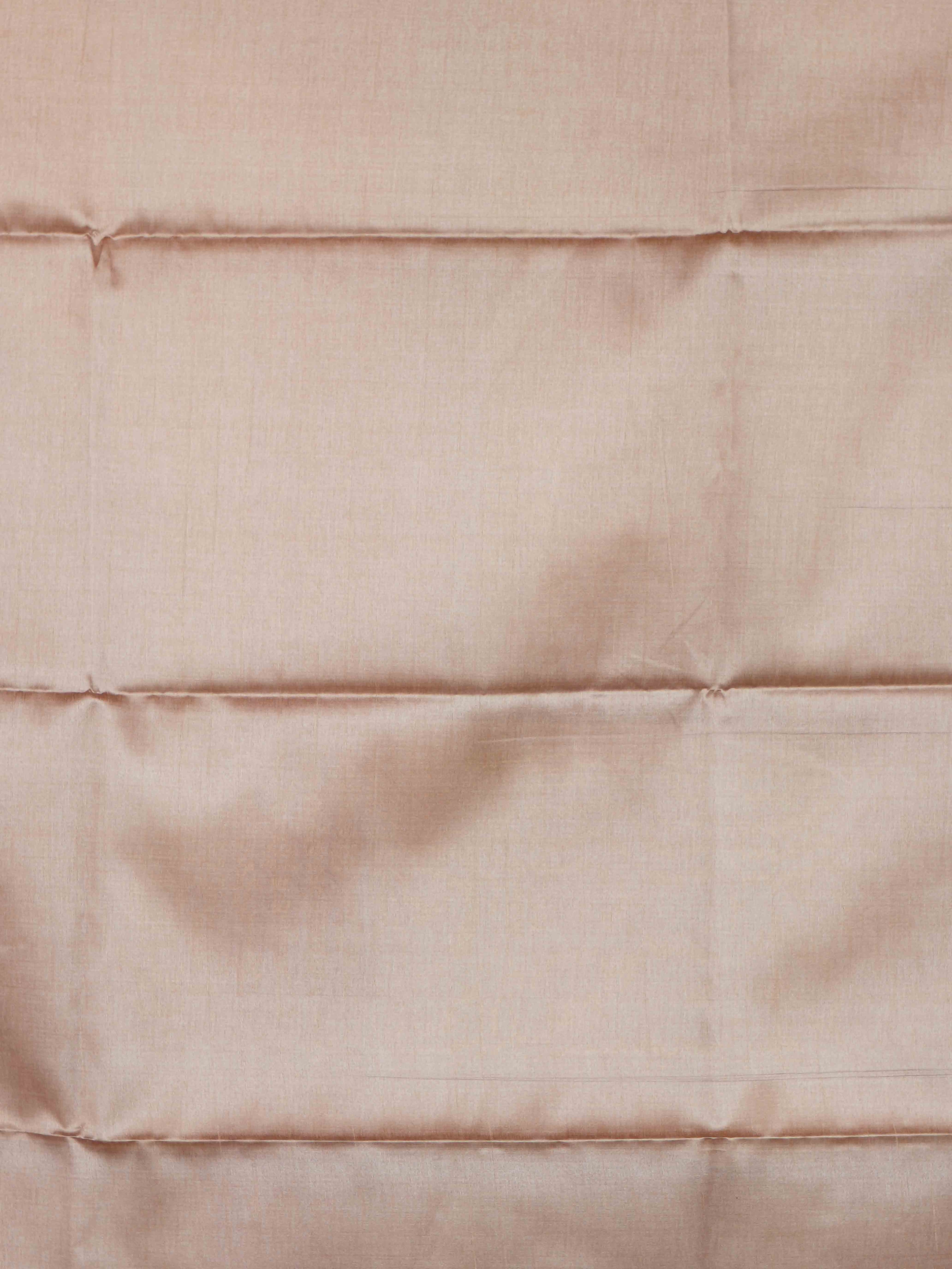 Ghicha Tussar Sarees Royal Heritage / SKU225 – 1