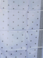 Ghicha Tussar Sarees Timeless Prestige / SKU225 – 12