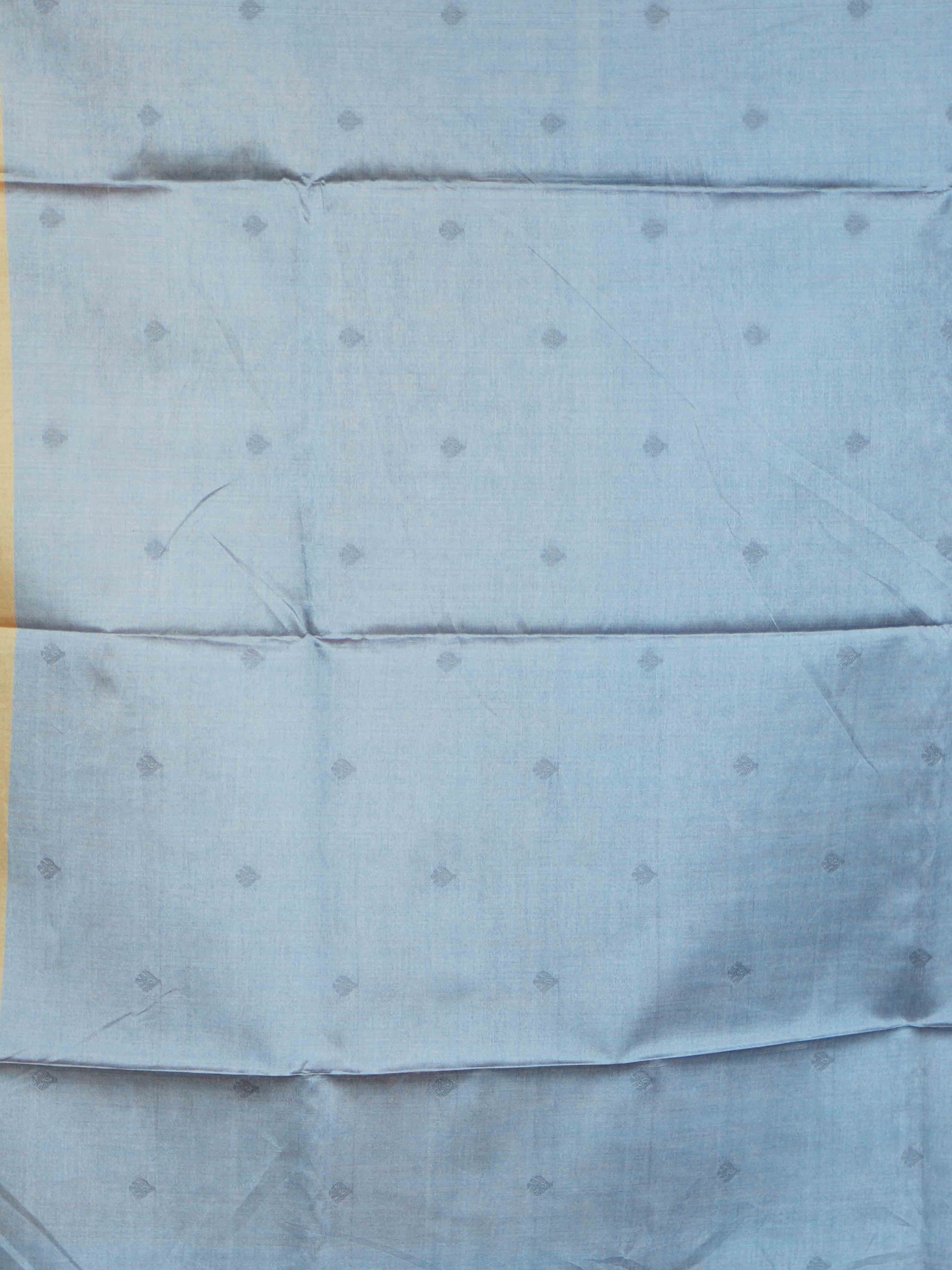 Ghicha Tussar Sarees Heritage Charm / SKU225 – 3