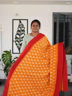Ikkat Cotton Sarees Classic Charm / SKU227 – 2