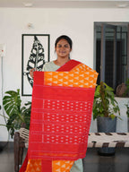 Ikkat Cotton Sarees Classic Charm / SKU227 – 2