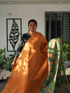 Linen Tissue Sarees Regal Harmony / SKU241 – 3
