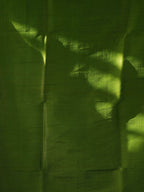 Dupion Silk Sarees Royal Heritage / SKU241 – 6