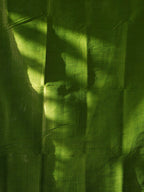 Dupion Silk Sarees Golden Elegance / SKU241 – 10
