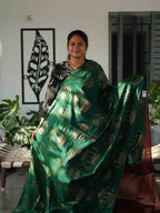 Dupion Silk Sarees Signature Charm / SKU241 – 11