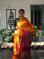 Dupion Silk Sarees Noble Grace / SKU241 – 12